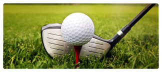 DNSEMP-L-344 Gone Golfing (Club)